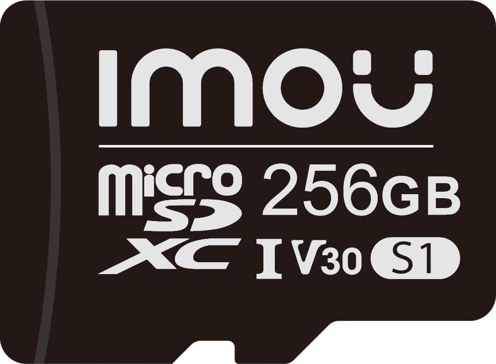 Imou ST2-256-S1 Carte mémoire microSD 256 Go