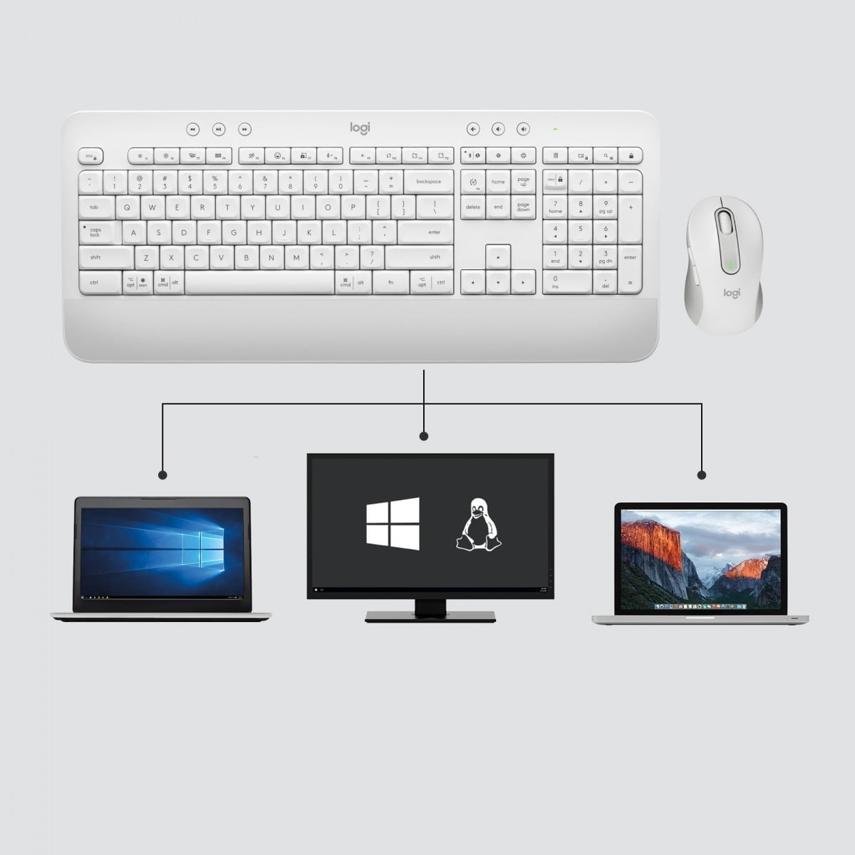 LOGITECH Signature MK650 Combo for Business - OFFWHITE - (CH) - CENTRAL