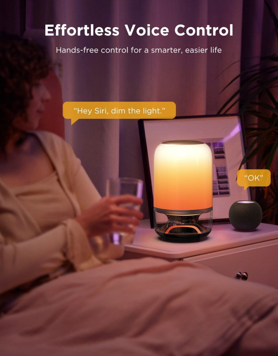 Govee H60200F1 Lampe de table RGBICWW 2 Pro Son par JBL