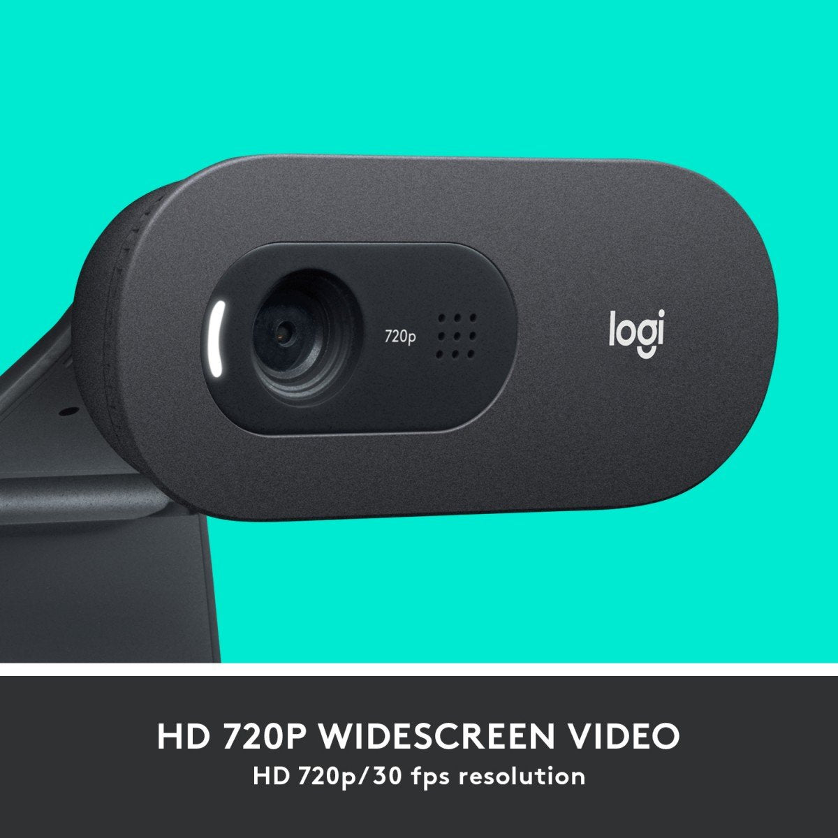 Logitech C505 HD webcam USB Graphite