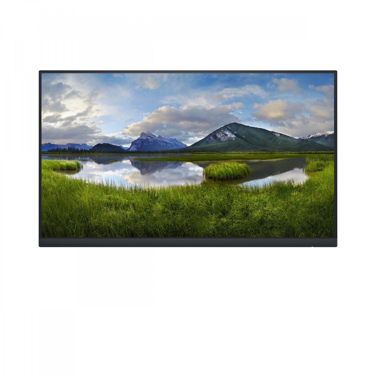 "DELL P Series P2422H_WOST 60,5 cm (23.8"") 1920 x 1080 pixels Full HD LCD Noir"