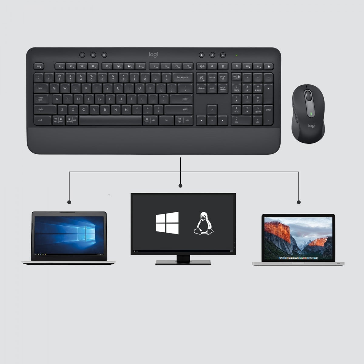 Logitech 920-010993 clavier Souris incluse Bureau Bluetooth QWERTZ Suisse Graphite