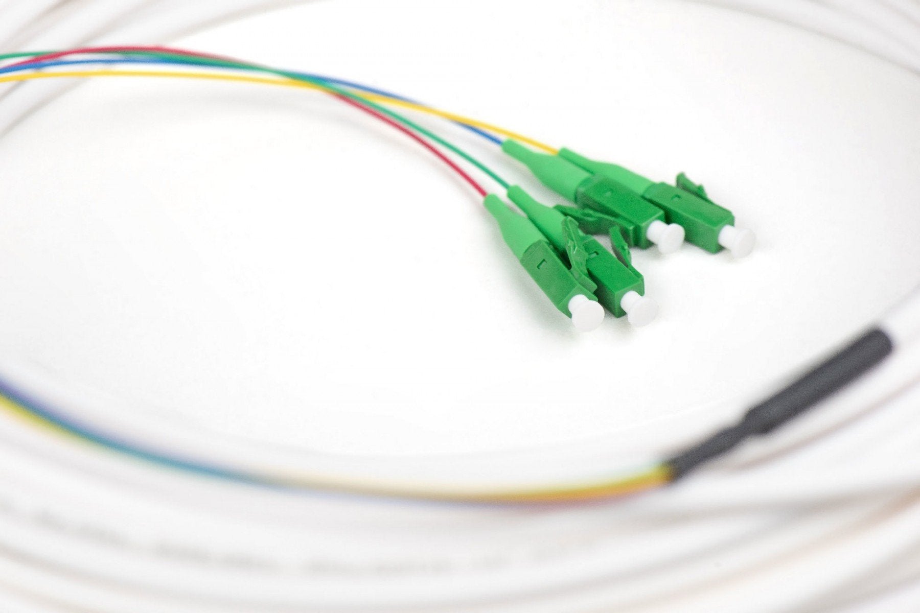 Digitus DK-3904LCA-30 Câble de dérivation monomode FTTH 4 fibres 30m LCAPC