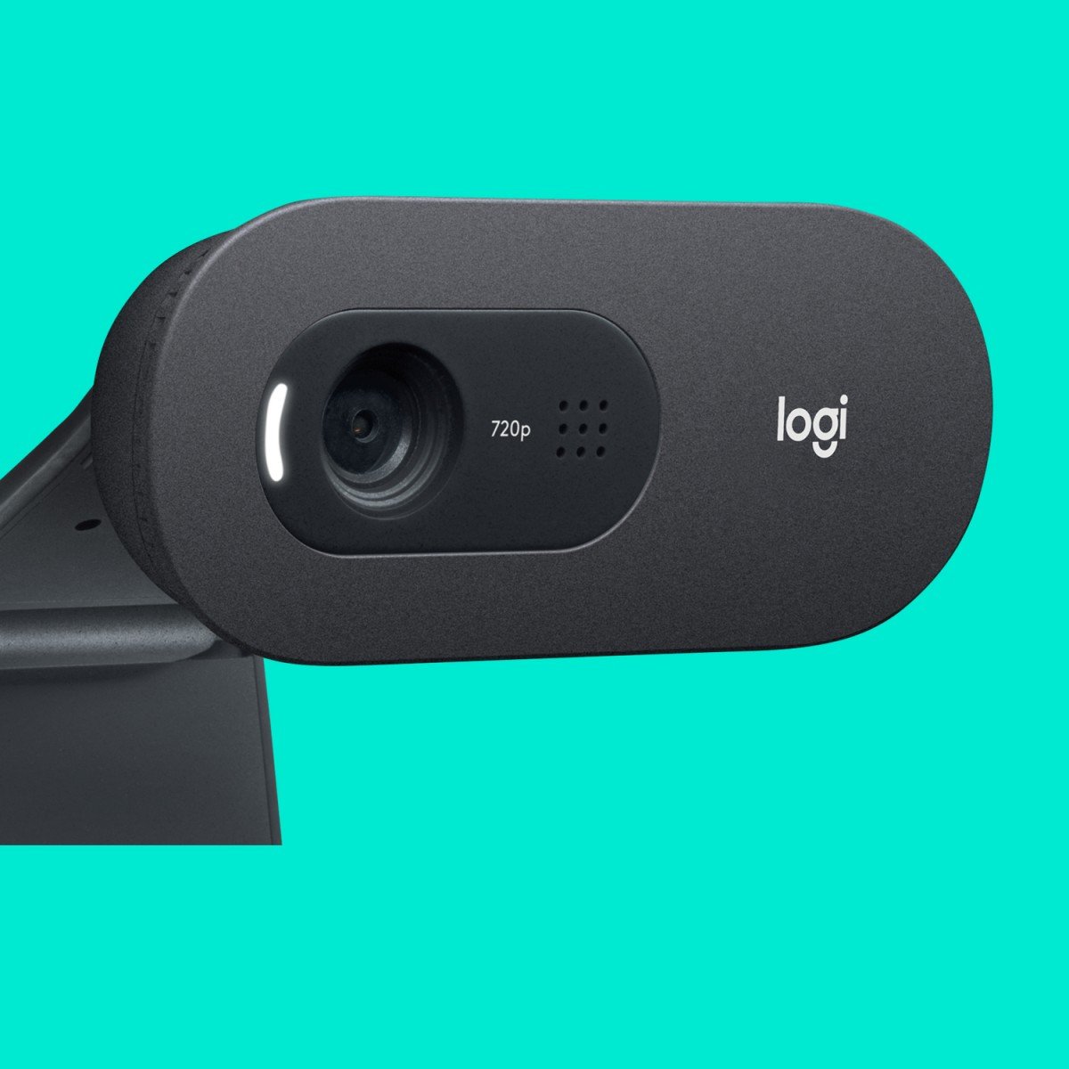 Logitech C505 HD webcam USB Graphite