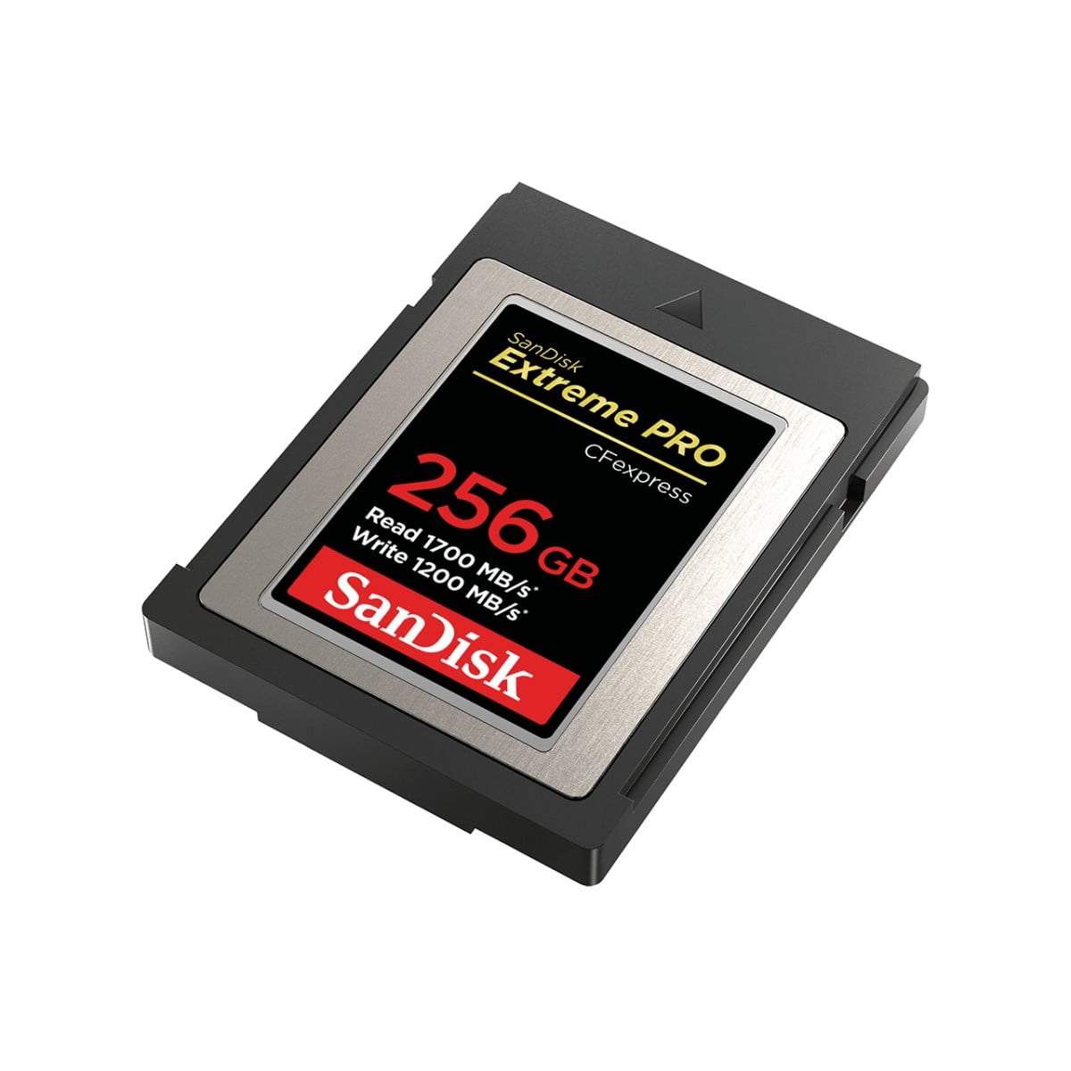 ExtremePro CFexpress 256GB 1700/1200MB/s
