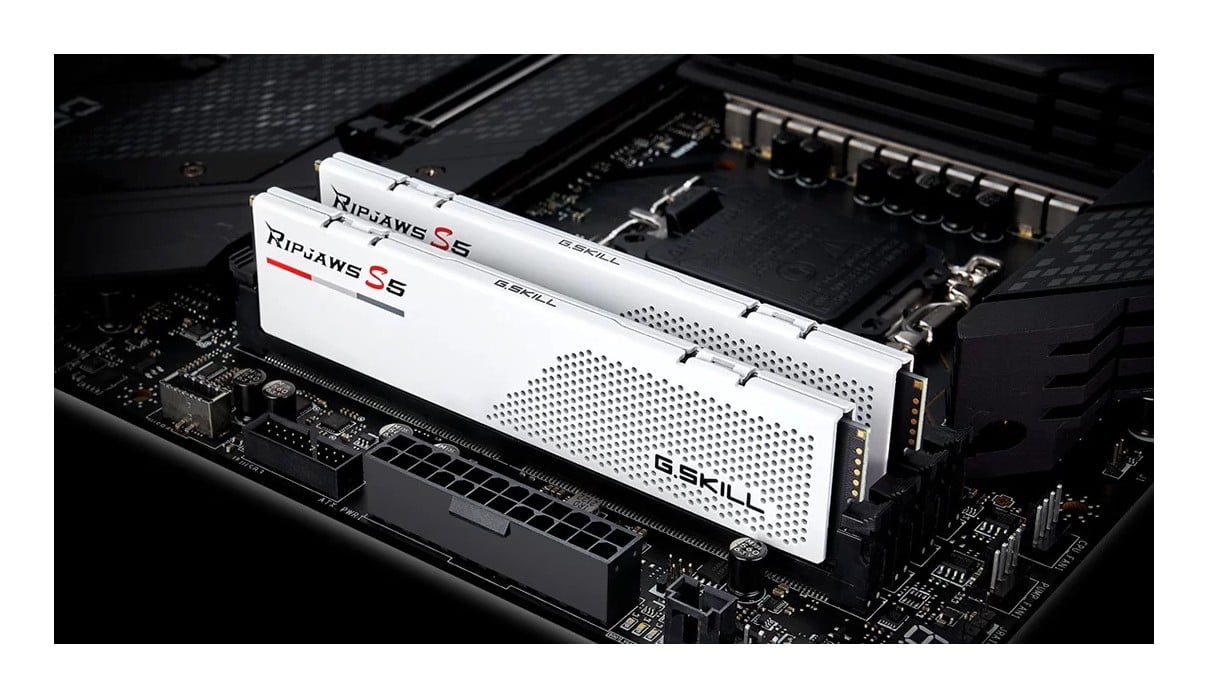 G.Skill F5-6000J2836G32GX2-RS5W module de mémoire 64 Go 2 x 32 Go DDR5 4800 MT/s