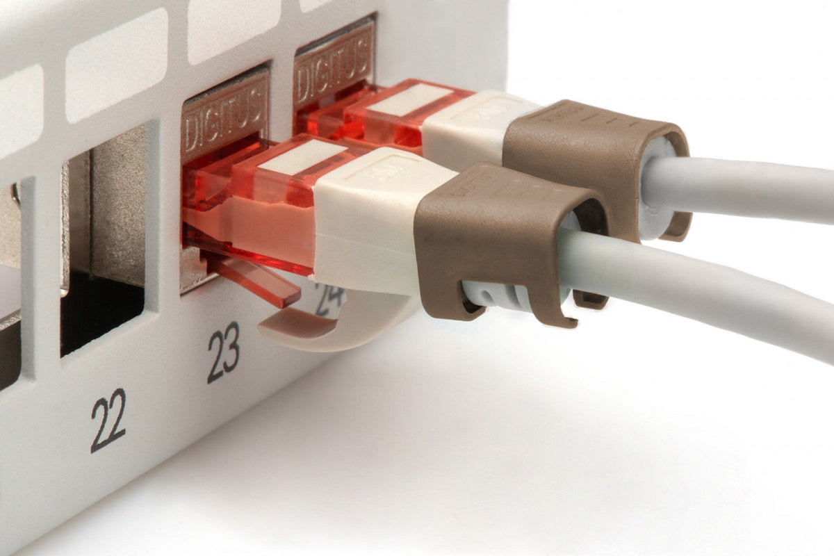 Clip coloré pour fiche RJ45, marron, paquet de 100