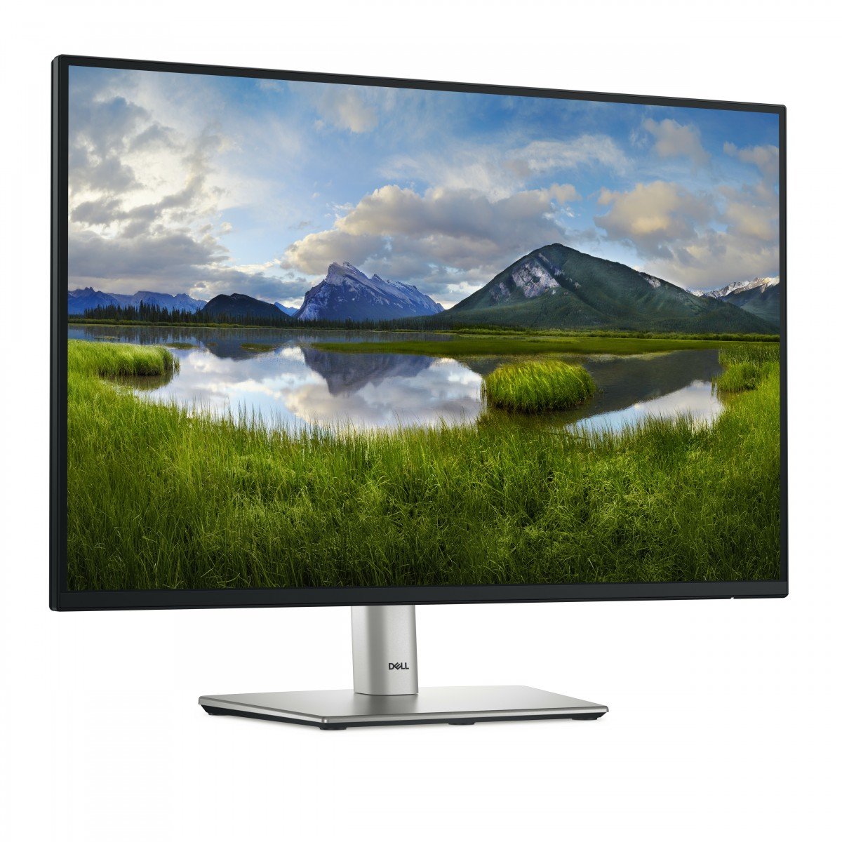 Dell 24" P2425E USB-C Hub Monitor