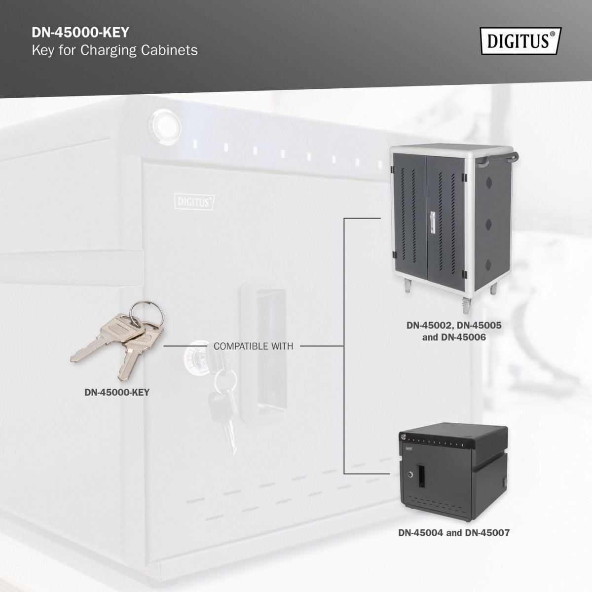 Digitus DN-45000-KEY accessoire de racks Clé de verrouillage