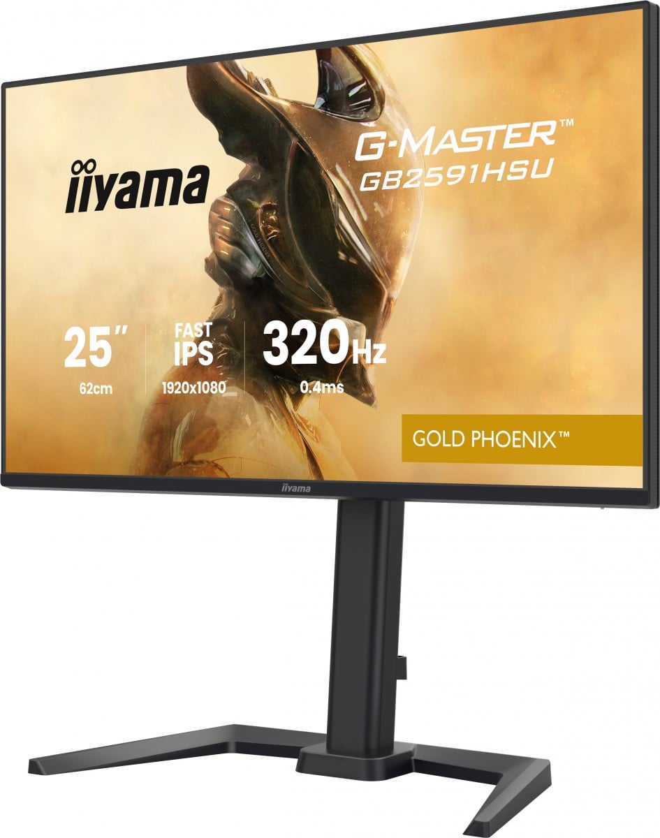 GB2591HSU-B1 24.5"FHD Fast IPS 320Hz/HAS