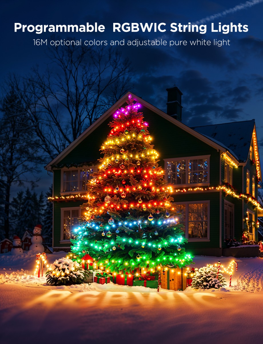 Govee H80C4C42 Guirlandes lumineuses de Noël 2S 20m