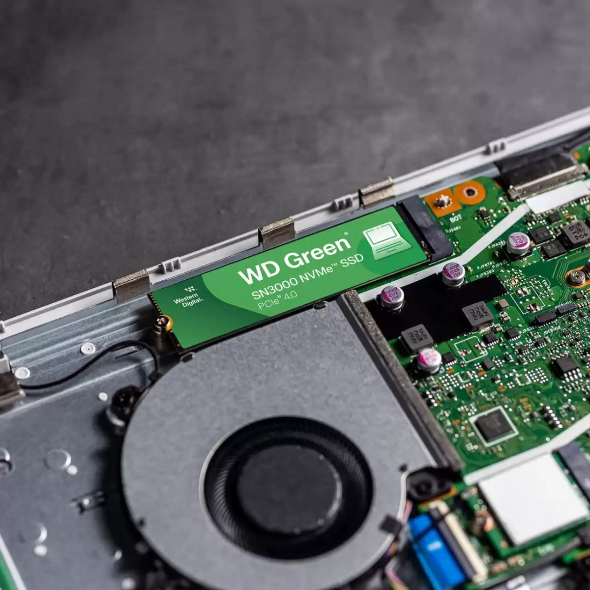 WD Green SN3000 NVMe SSD 2To M.2 2280 POWERED BY SANDISK