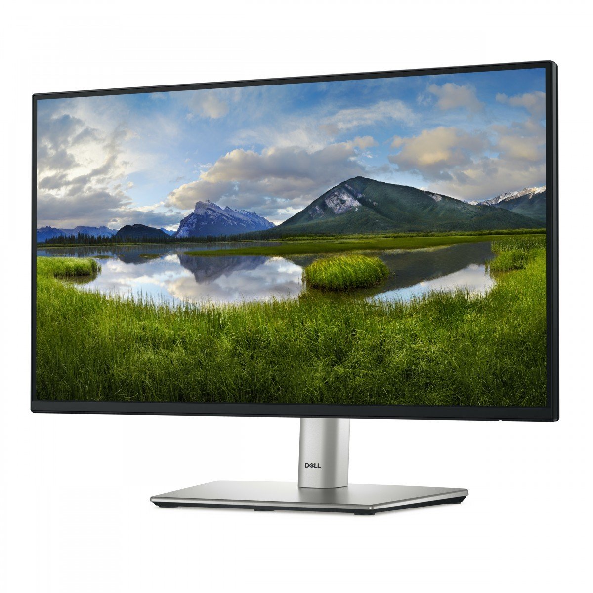 Dell 22" P2225H FHD Monitor