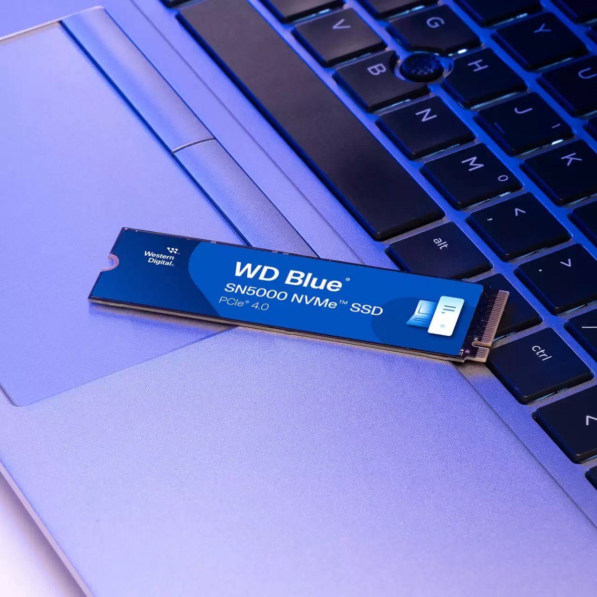 WD SSD Blue SN5000 500GB PCIe Gen4 NVMe