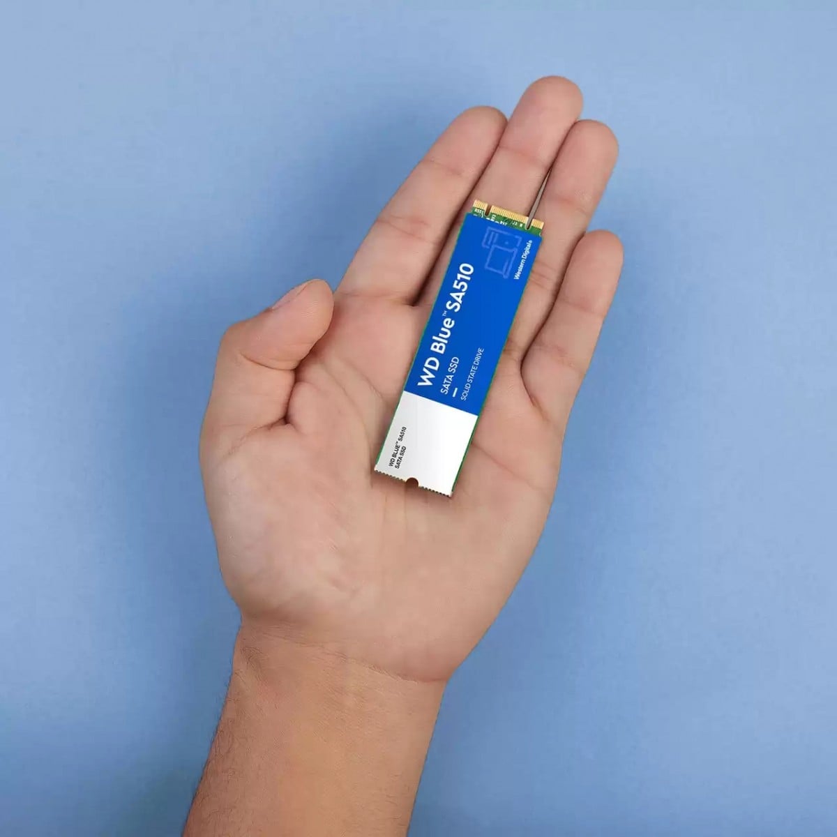 WD Blue SA510 SSD 1To M.2 2280 SATA III 6Gb/s internal single-packed POWERED BY SANDISK