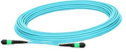 Pas fib cbl MMF MPO12 APC MPO12 APC 35m