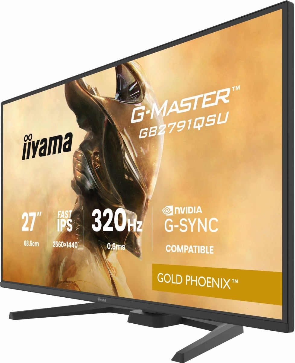 GB2791QSU-B1 27" QHD Fast IPS 320Hz/HAS