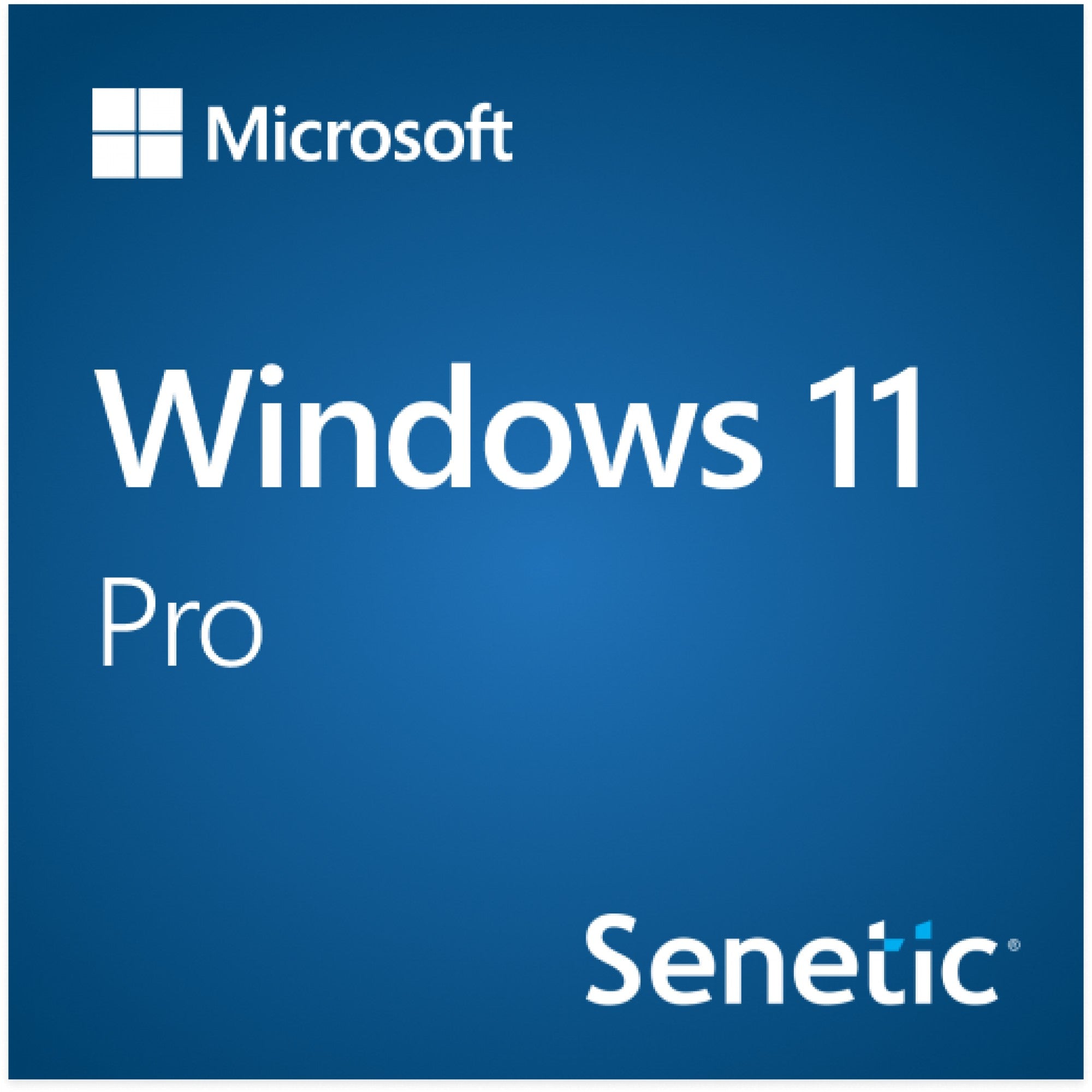 MS 1x Windows 11 Pro 64-Bit DVD OEM English International (EN)