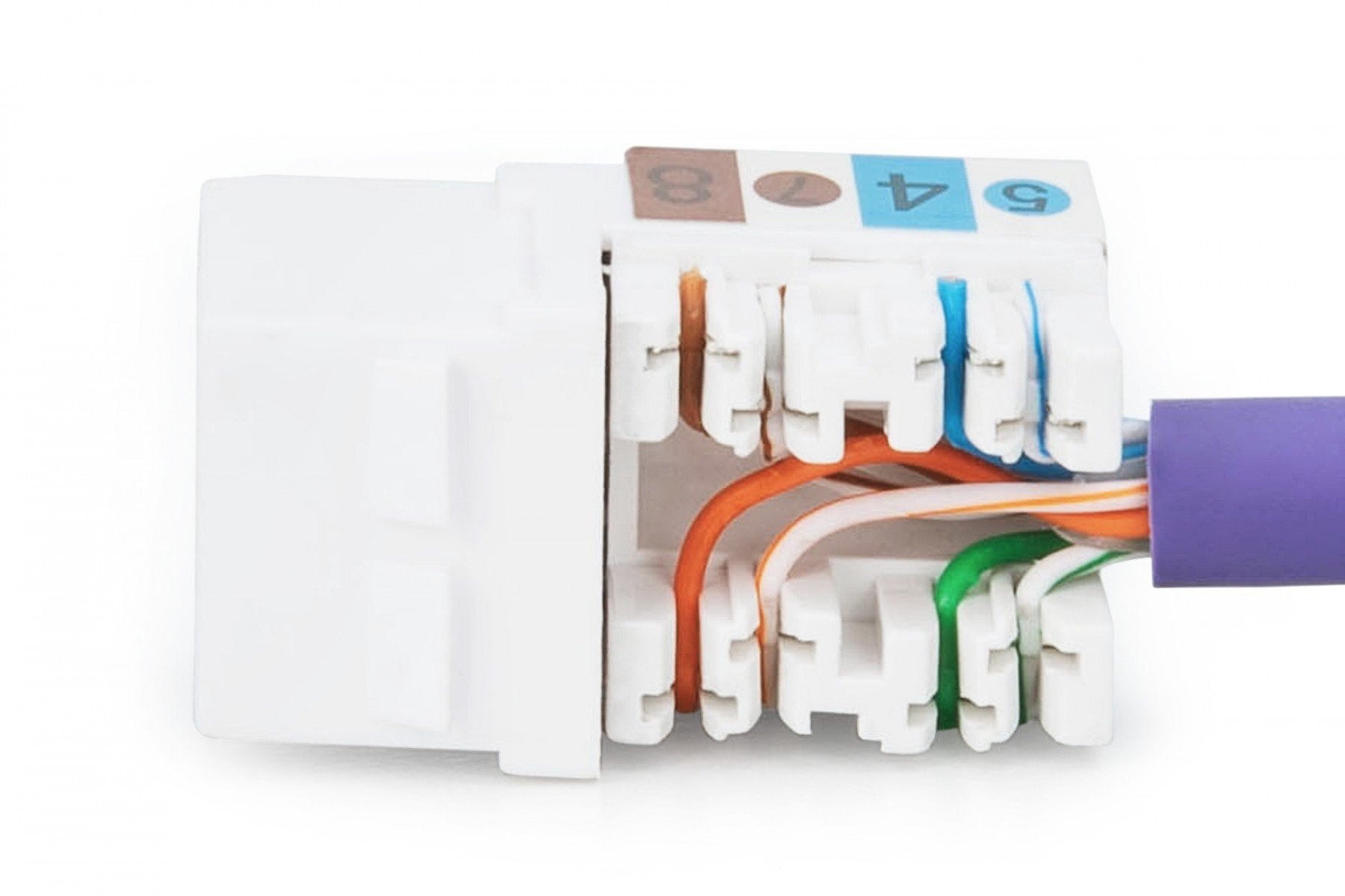Digitus DN-93601 Module (prise) keystone RJ45 (8P8C) Cat. 6, UTP, non blindé, sans outil, blanc, 1 piece