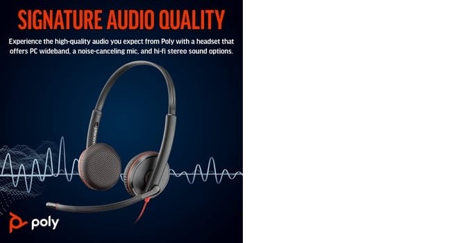 Poly BW 3225 USB-C HS+USB-C/A Bulk