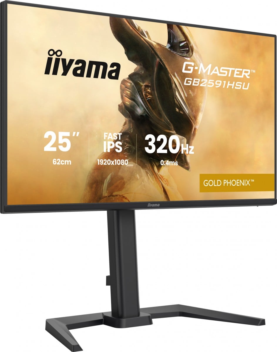GB2591HSU-B1 24.5"FHD Fast IPS 320Hz/HAS