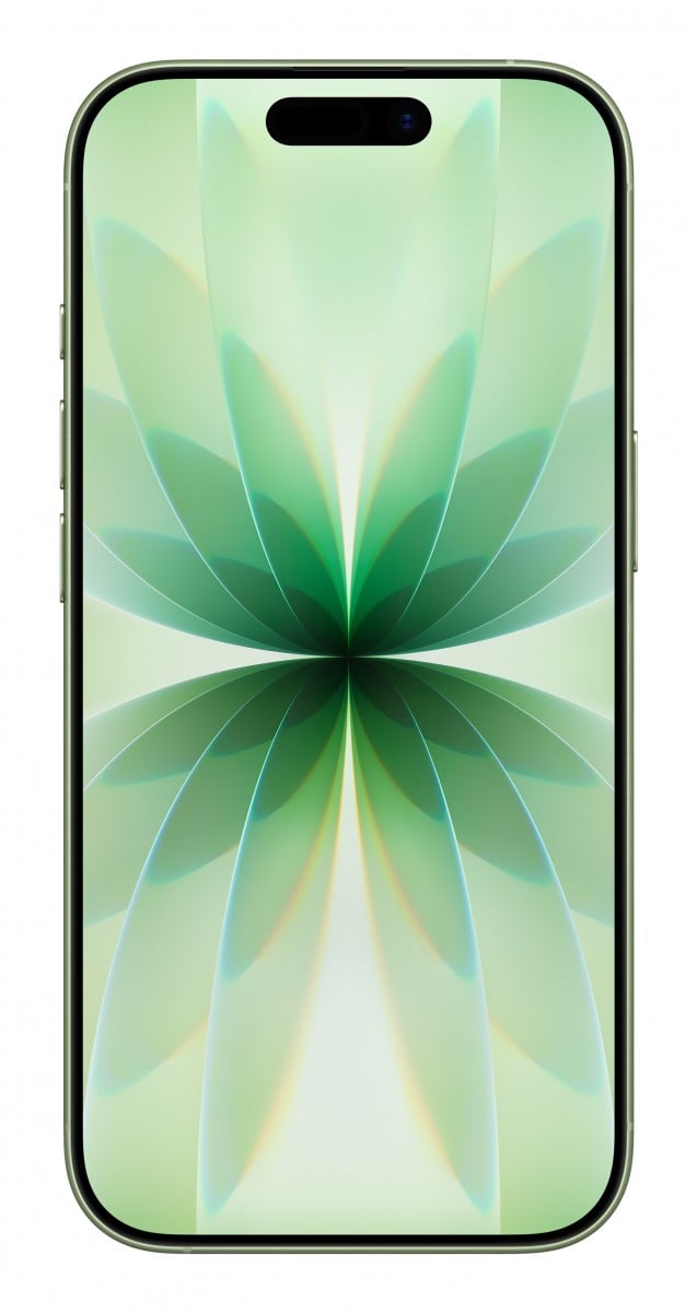 "Apple iPhone 17 16 cm (6.3"") Double SIM iOS 26 5G USB Type-C 256 Go Sage"