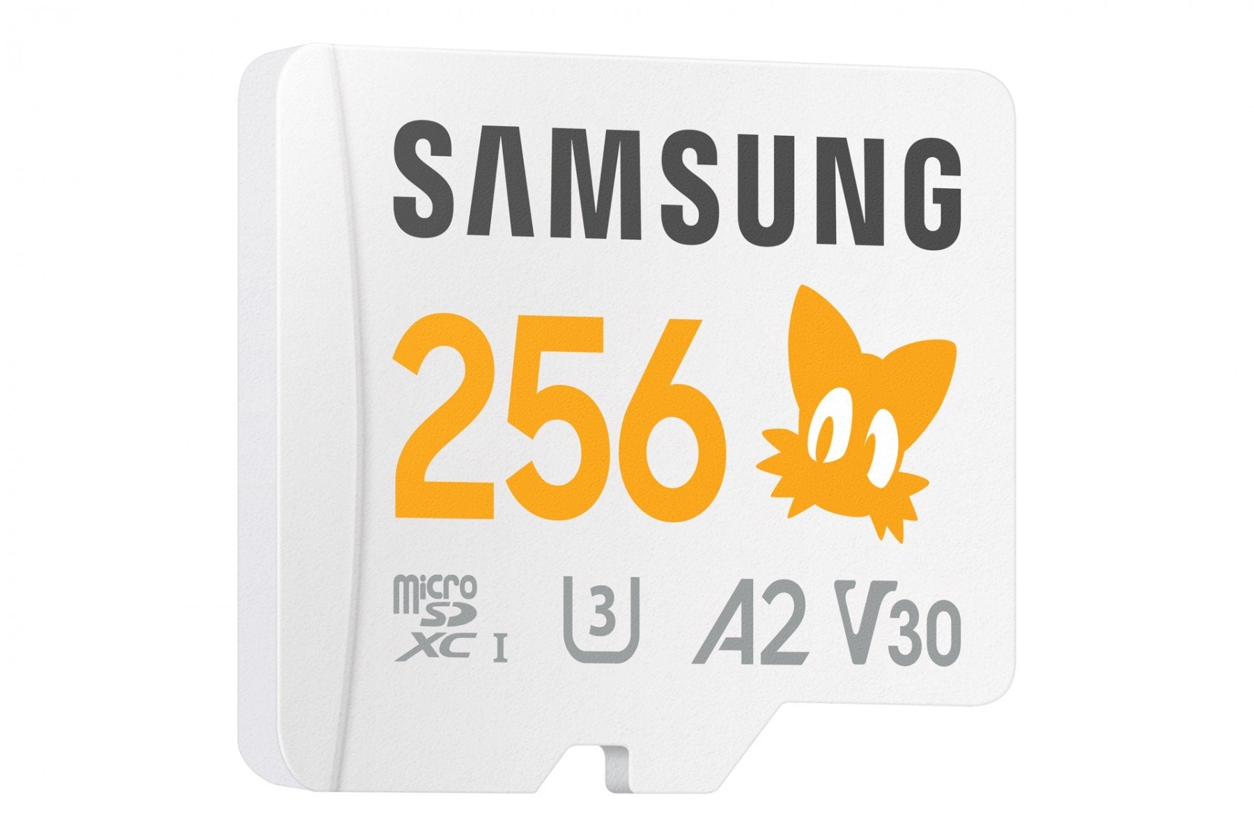 Samsung MB-MD256S MicroSDXC 256 Go Carte Mémoire Flash Classe 10 UHS-I avec Protection Haute Vitesse