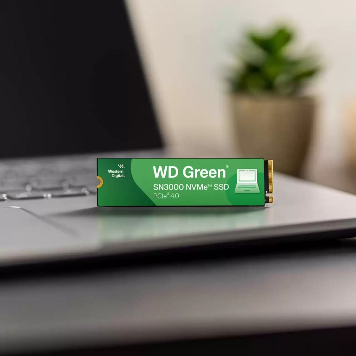 WD Green SN3000 NVMe SSD 2To M.2 2280 POWERED BY SANDISK