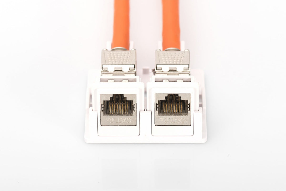 Digitus AT-AG 302A-WH boitier de prise de courant RJ-45 Blanc