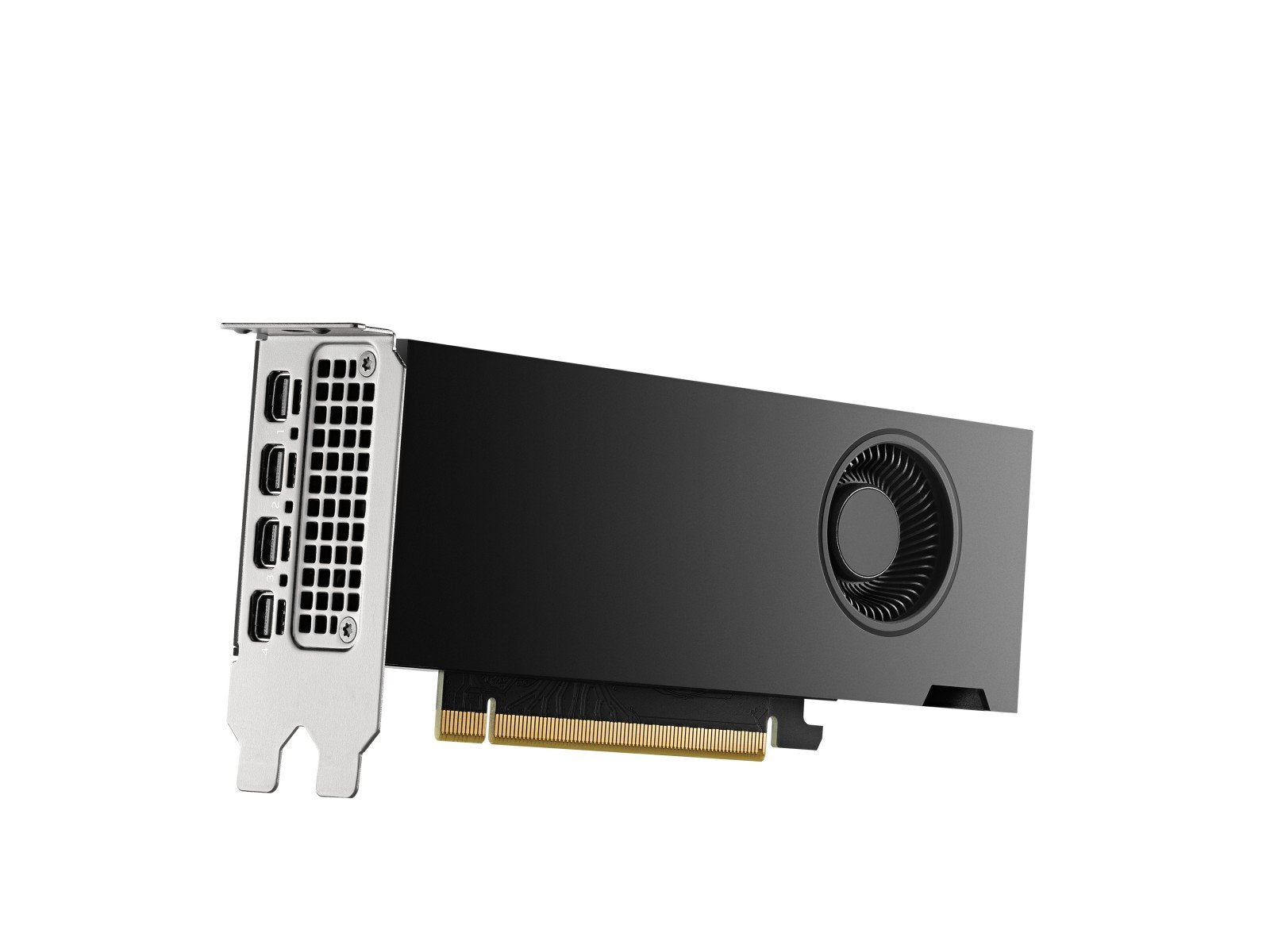 PNY NVIDIA RTX 2000 Génération Ada Low Profile Version OEM VCNRTX2000ADA-SB