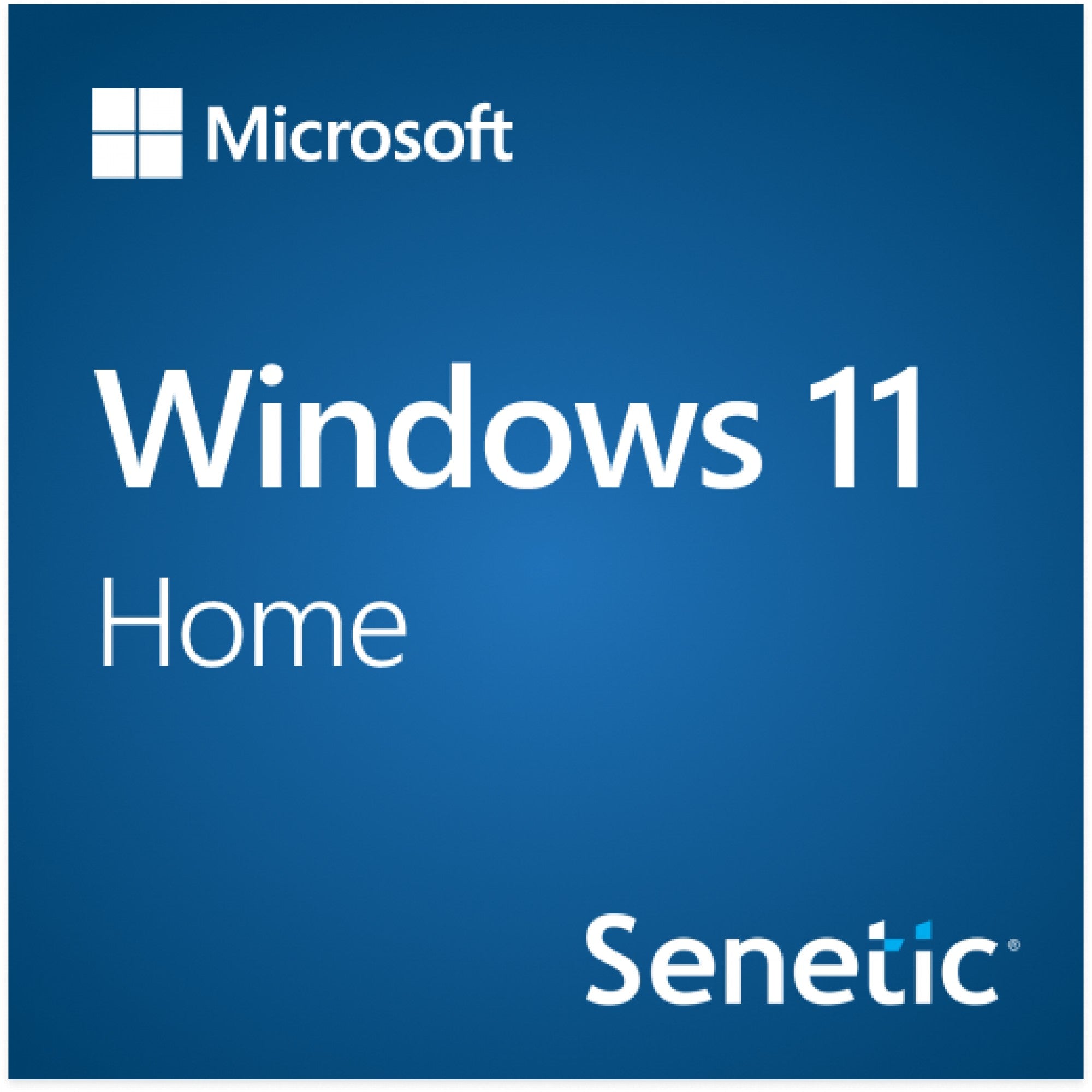 Windows 11 Home 64Bit Polish 1pk DSP OEI DVD