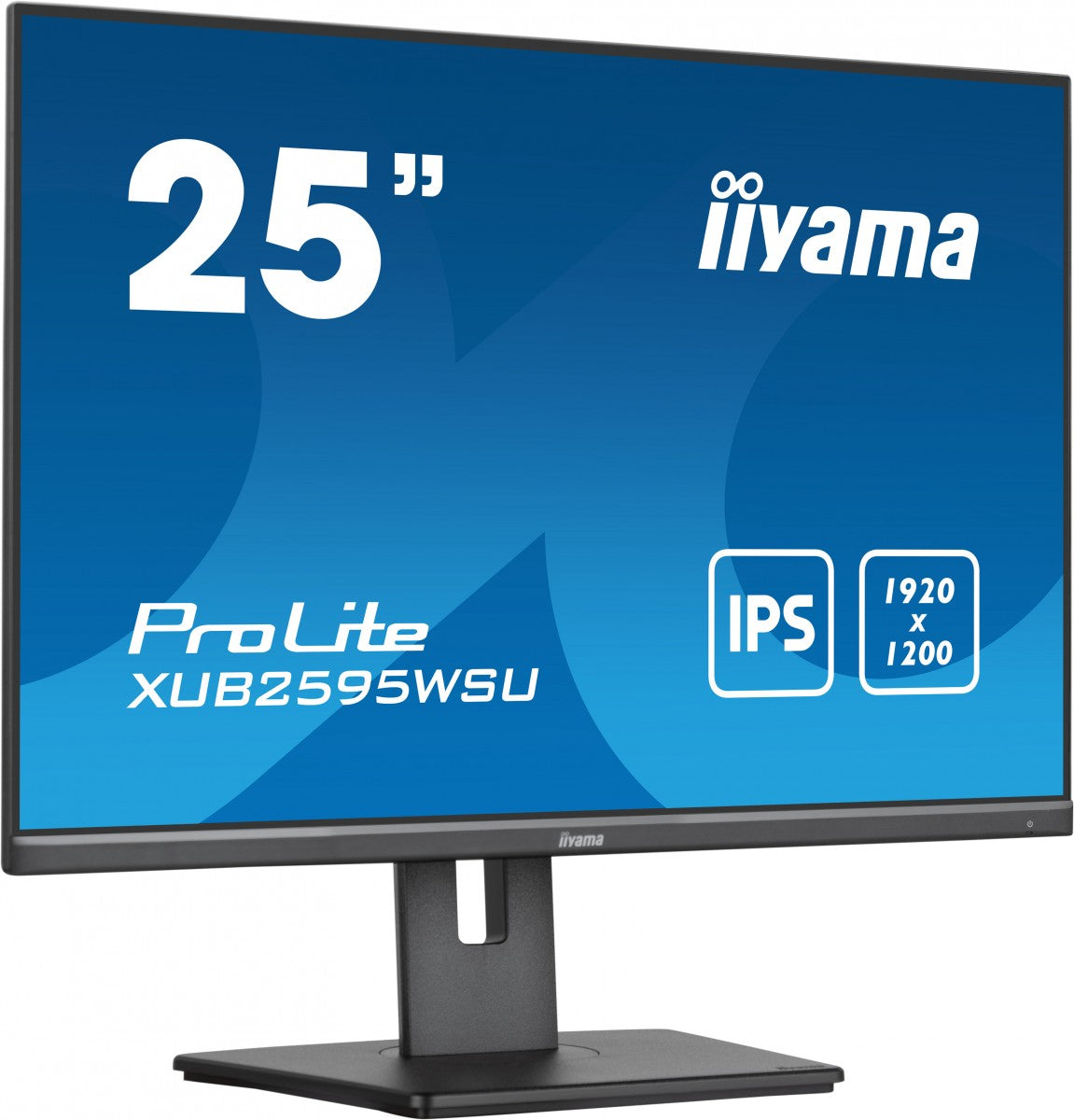 25" IPS-1920x1200 300cd/m² VGA HD
