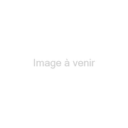 Barco ILD 1.0-1.4:1 lens