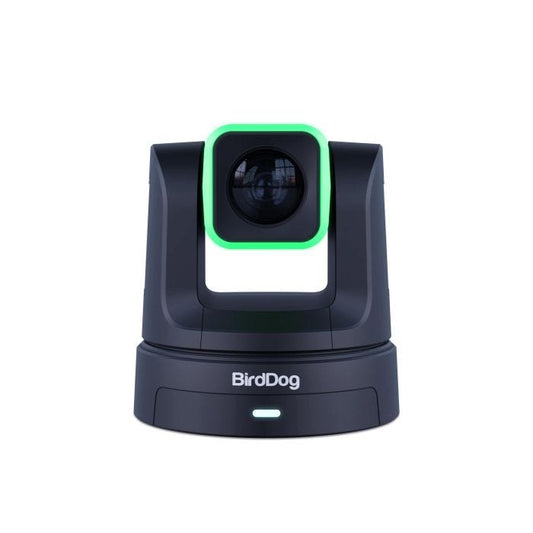 Birddog X5 Ultra Noir