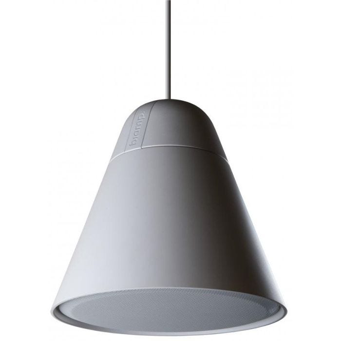 Biamp Desono P30DT-WH Enceinte suspendue HP 4.25" + tweeter, 30W 100V, blanche