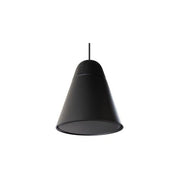 Biamp Hanging speaker 6.5in 60W 70/100V Black