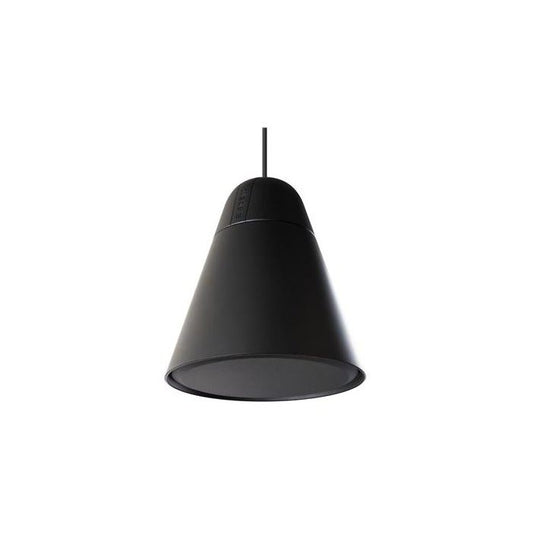 Biamp Desono P60DT-BK Enceinte suspendue HP 6.5" + tweeter, 60W 100V, noire