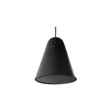 Biamp Desono P60DT-BK Enceinte suspendue HP 6.5" + tweeter, 60W 100V, noire