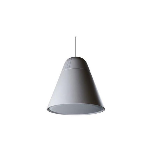 Biamp Desono P60DT-WH Enceinte suspendue HP 6.5" + tweeter, 60W 100V, blanche
