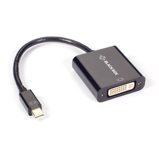 Black Box EVNMDP-DVI Câble Vidéo et Adaptateur 0,2 m Mini DisplayPort vers DVI-I