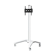 Universal Flat Screen Trolley VESA 600