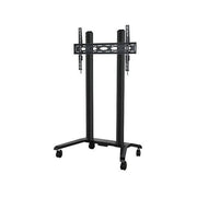 Extra-Large Universal Flat Screen Trolle