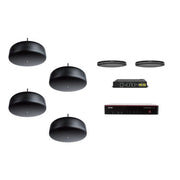 Biamp Certified meeting room bundle; includes TesiraFORT? X 400, Parl? TCM-XA Black, Parl? TCM-XEX Black, (4) Desono P6-SM Black, (1) Cat5e Cable Black 25' Plenum Rated, (7) Cat5e Cable Black 10' Plenum Rated