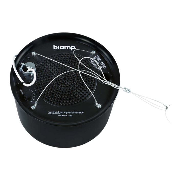 Biamp Cambridge DS1339B Enceinte plenum 70V 4W, noir