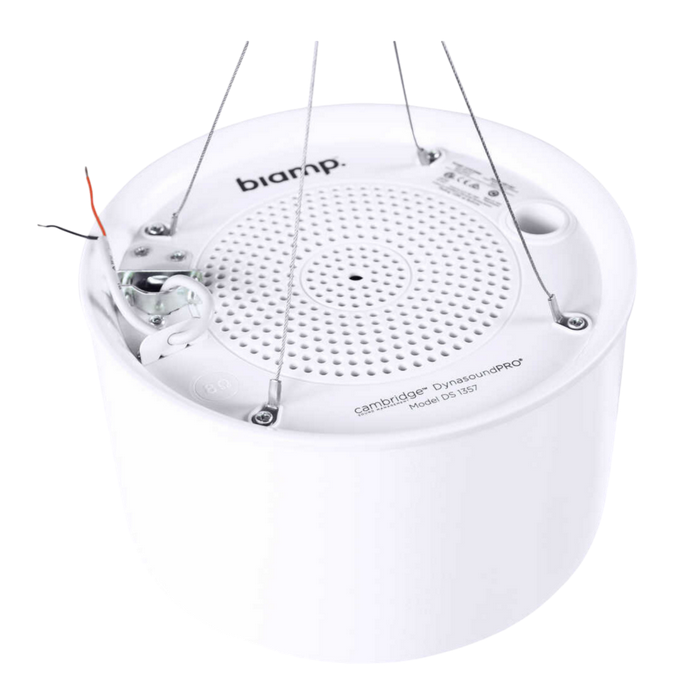 Cambridge Sound Management Network plenum loudspeaker White