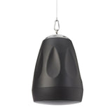 Cloud Contractor CVS-P42TB Enceinte suspendue HP 4.5" + tweeter, 20W 100V, noir