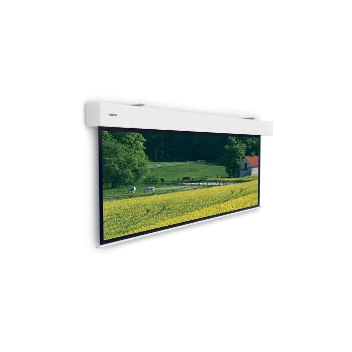 Da-Lite Elpro Large Electrol WS 306x490 16:10 Matt White Projector Screen