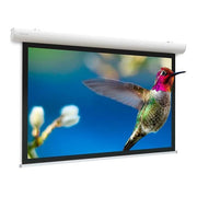 Da-Lite Elpro Concept WS 174x310 16:9 Matt White Projector Screen