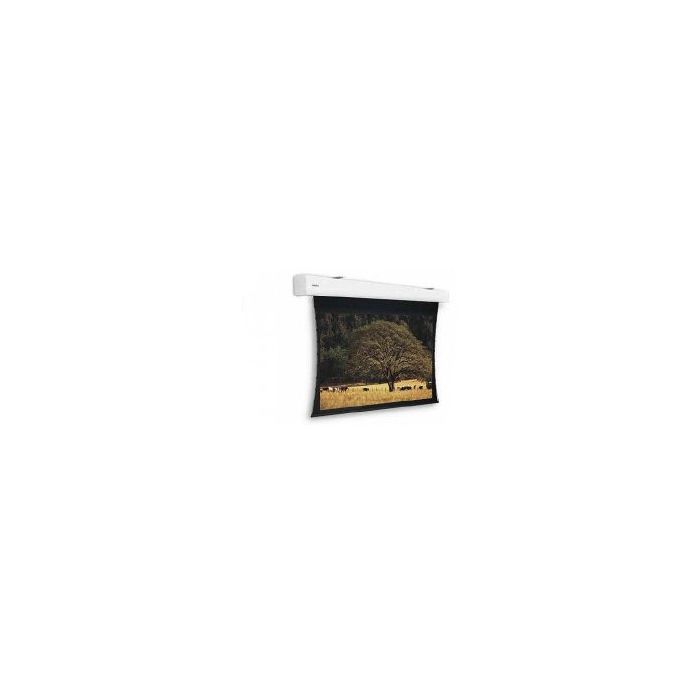 Da-Lite Tensioned Elpro Large 229x400 16/9 HD Progressive 1.1 Projector Screen