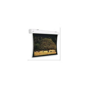 Da-Lite Tensioned Elpro Large Electrol WS 244x390 16:10 HD Progressive 1.1 Projector Screen